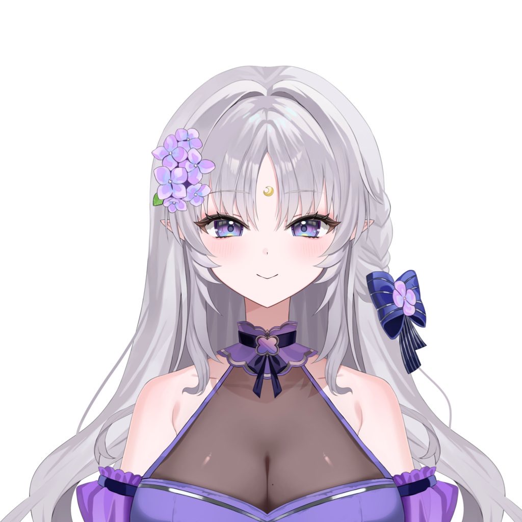 아야네 호타루 프로필