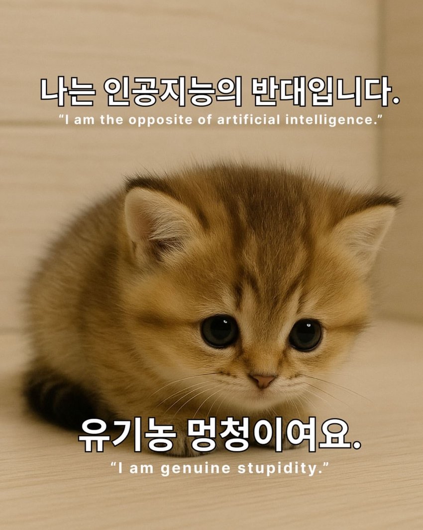 포스트 이미지