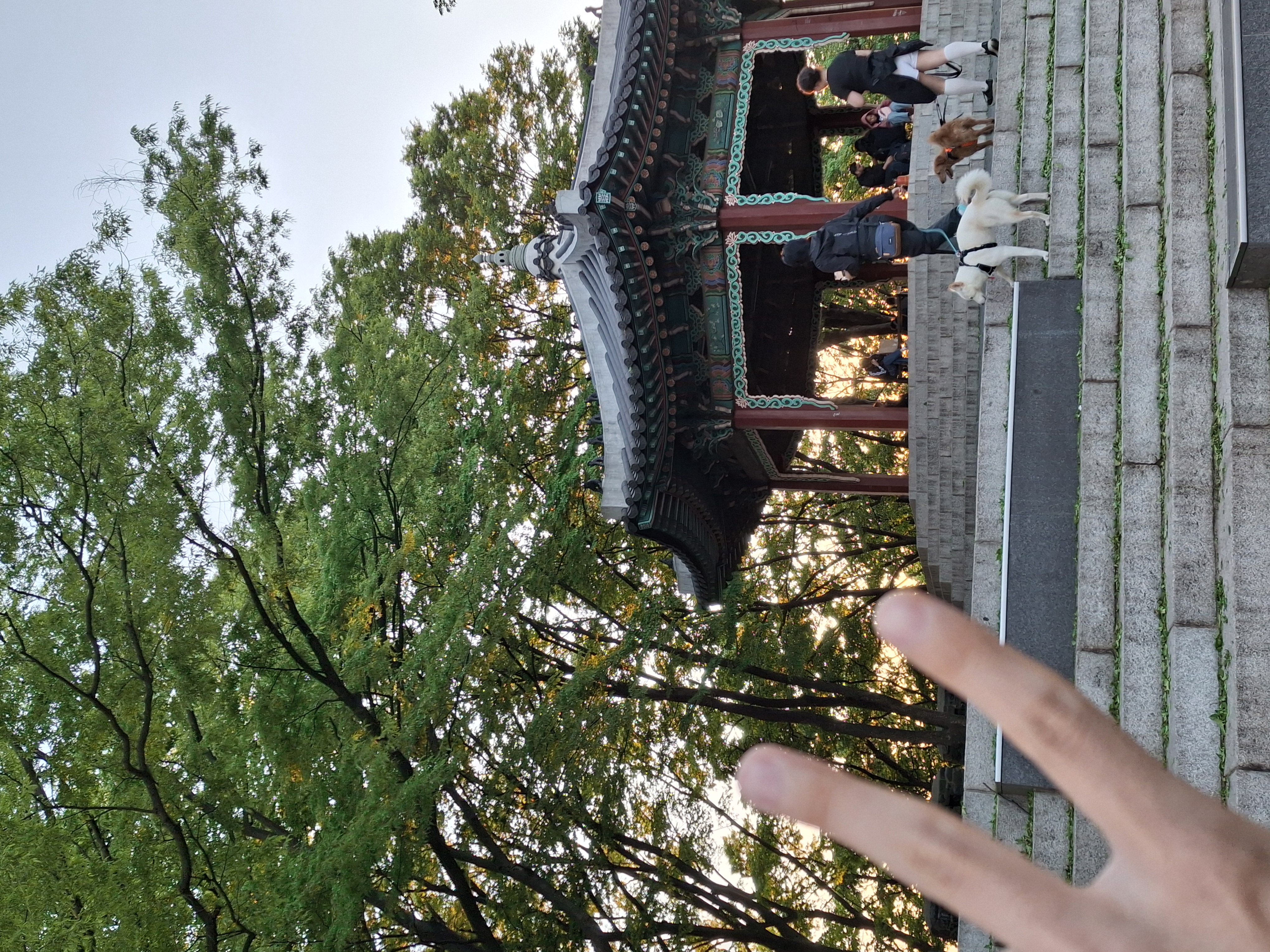 포스트 이미지