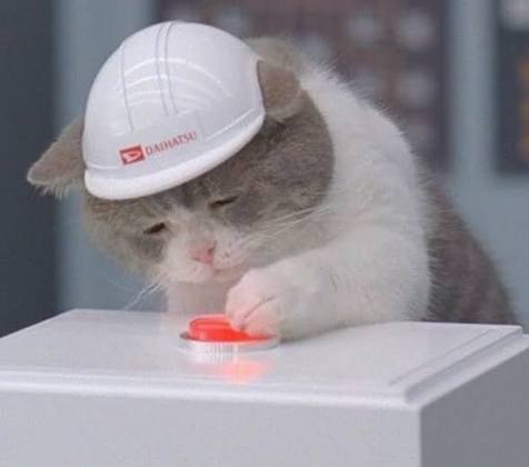 포스트 이미지