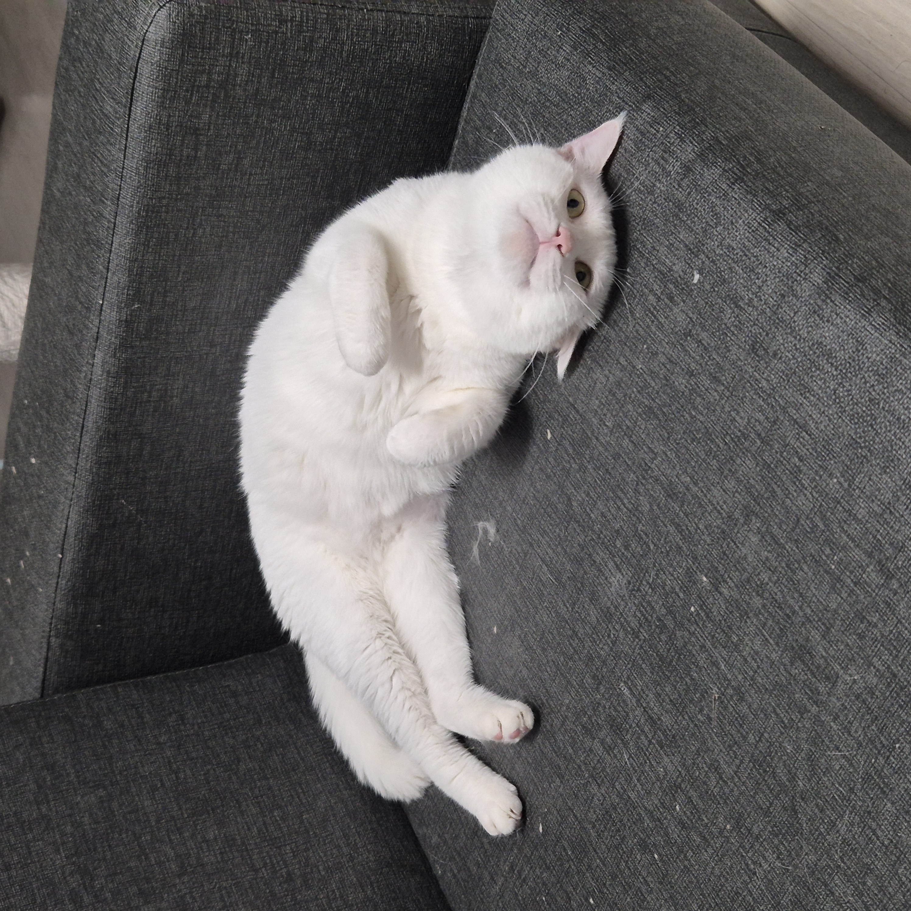 포스트 이미지