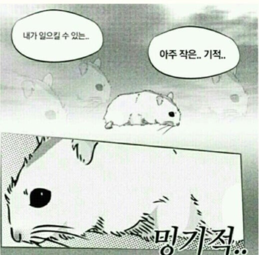 포스트 이미지