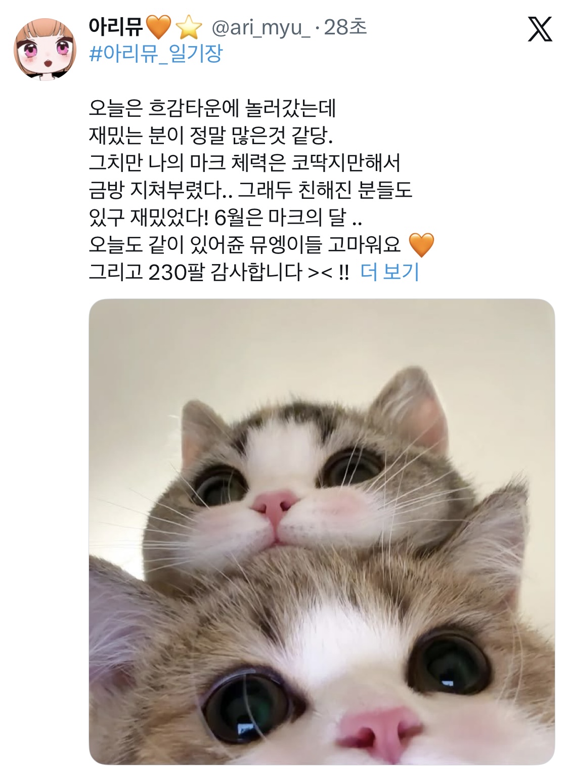 포스트 이미지