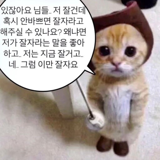 포스트 이미지