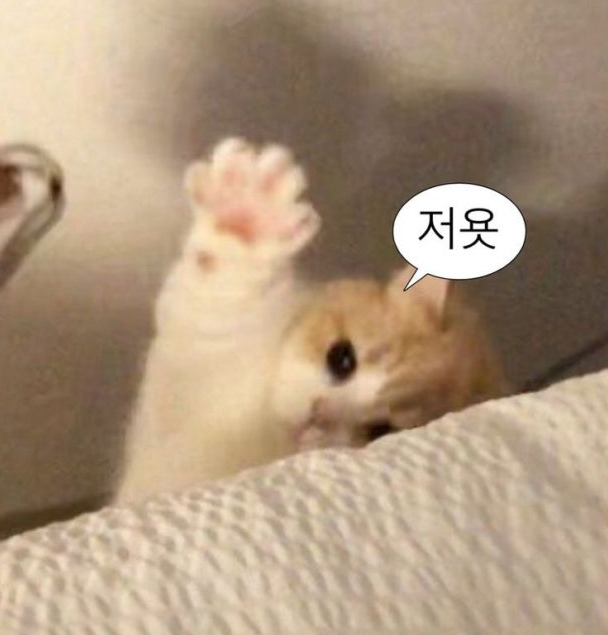 포스트 이미지