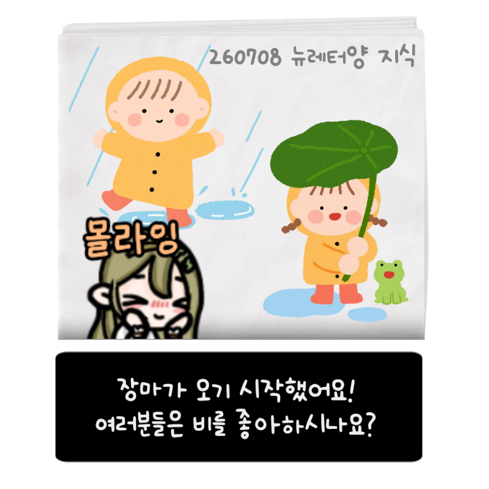 포스트 이미지