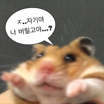 포스트 이미지