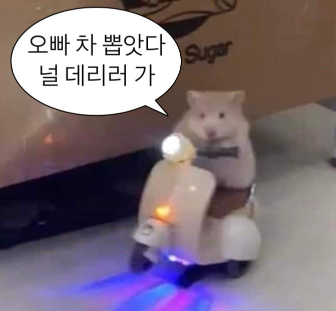 포스트 이미지