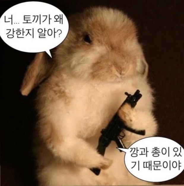 포스트 이미지