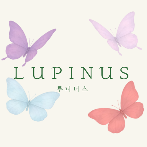 포스트 이미지
