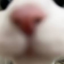 포스트 이미지