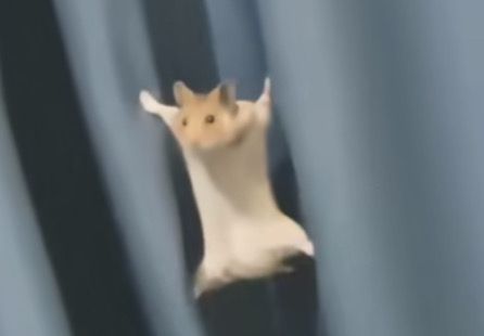 포스트 이미지