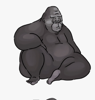 포스트 이미지