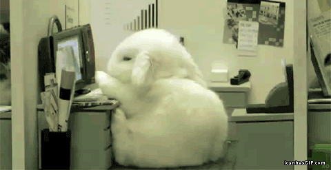포스트 이미지
