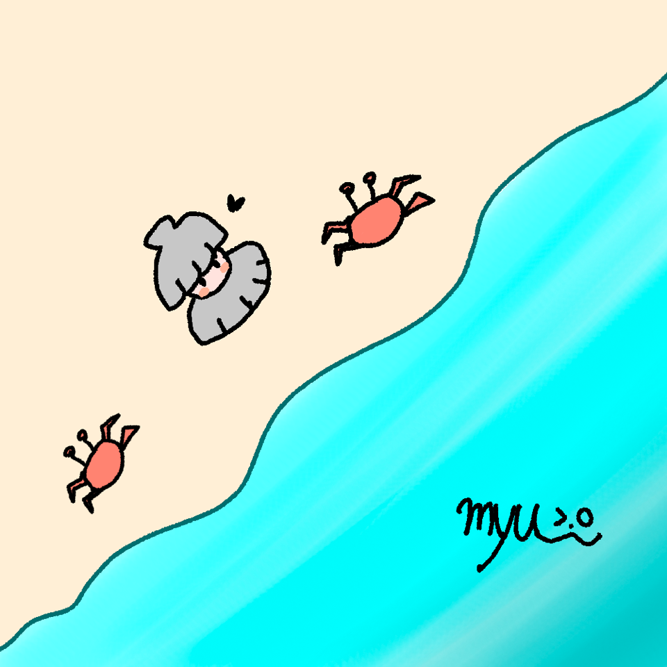 첨부 이미지