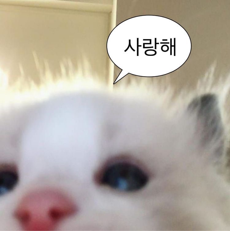 포스트 이미지