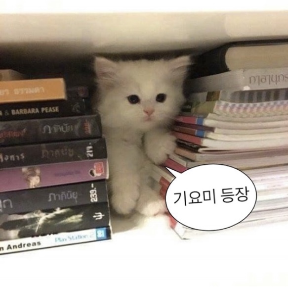 포스트 이미지