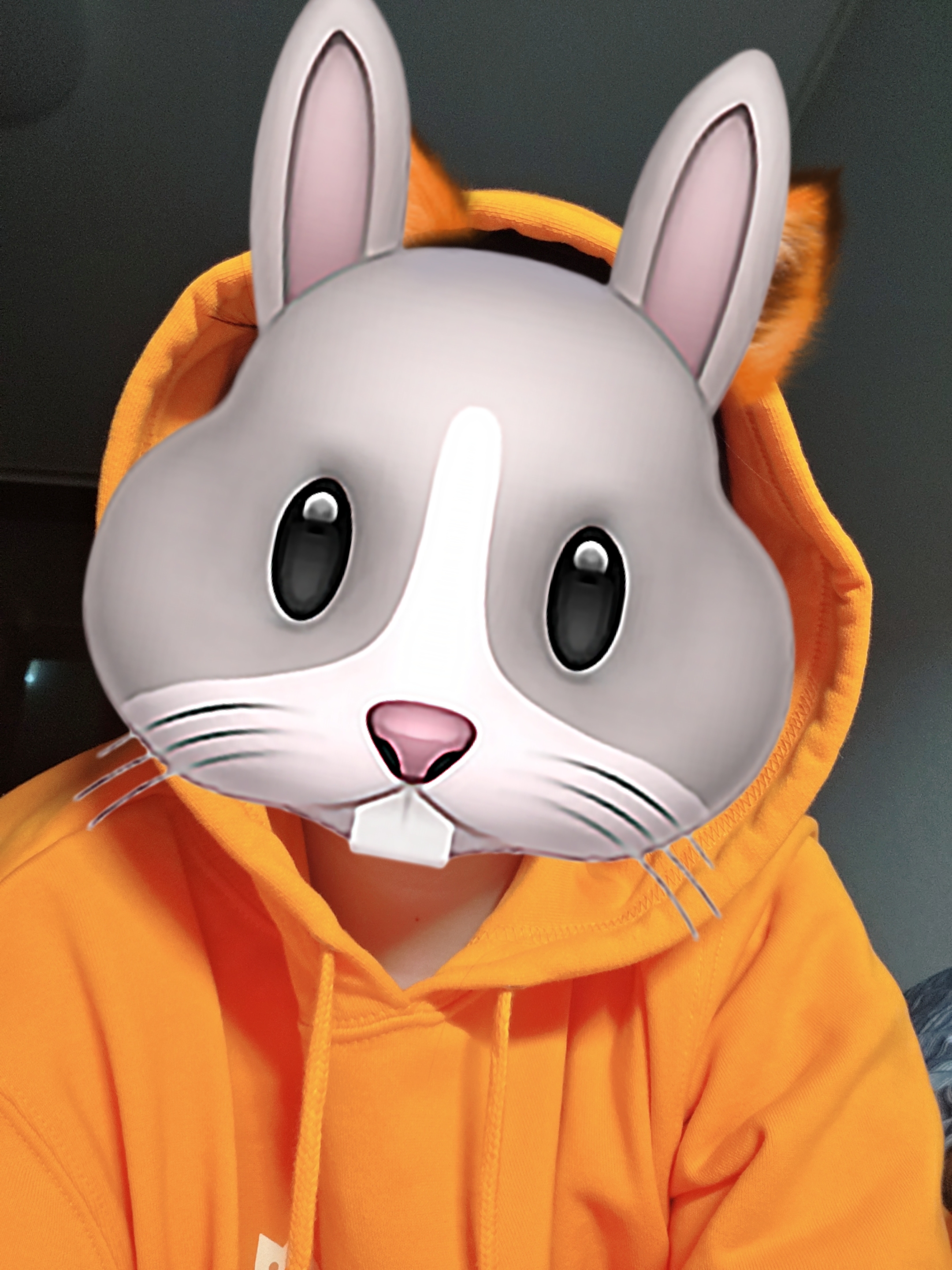 포스트 이미지