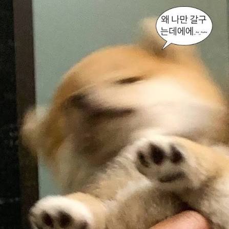 첨부 이미지