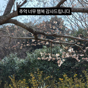 안녕하세요
