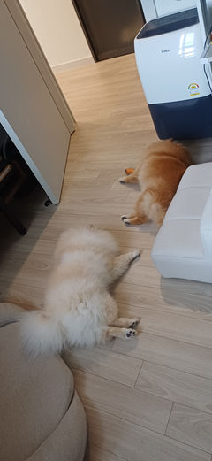 첨부 이미지
