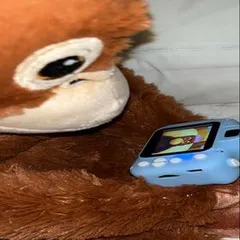 프로필 이미지
