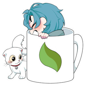 네이버 카페