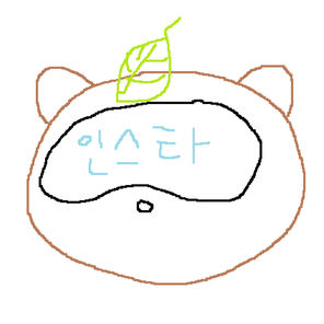 인스타