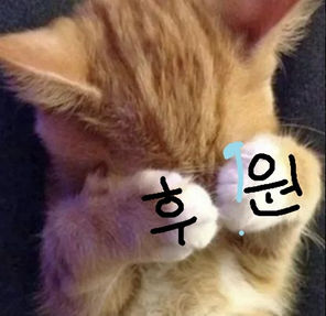 후 원