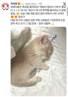 첨부 이미지