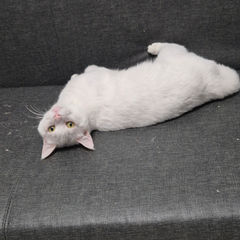 첨부 이미지