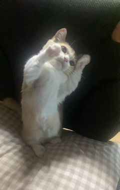 첨부 이미지