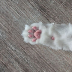 첨부 이미지