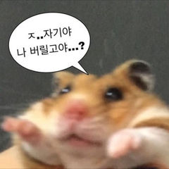 첨부 이미지