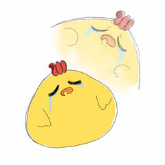 첨부 이미지
