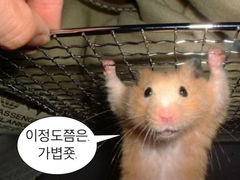 첨부 이미지