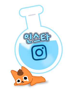 츄로 인스타